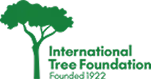 Brand Image 2