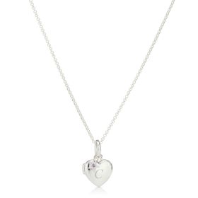 Personalized February Amethyst Birthstone Locket Necklace