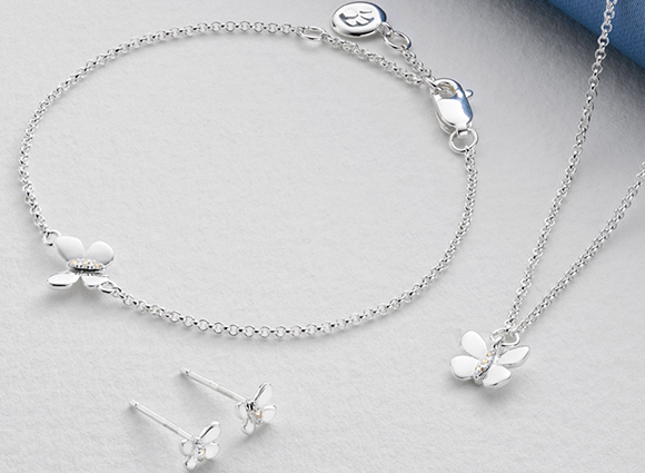 Silver Butterfly Gift Set