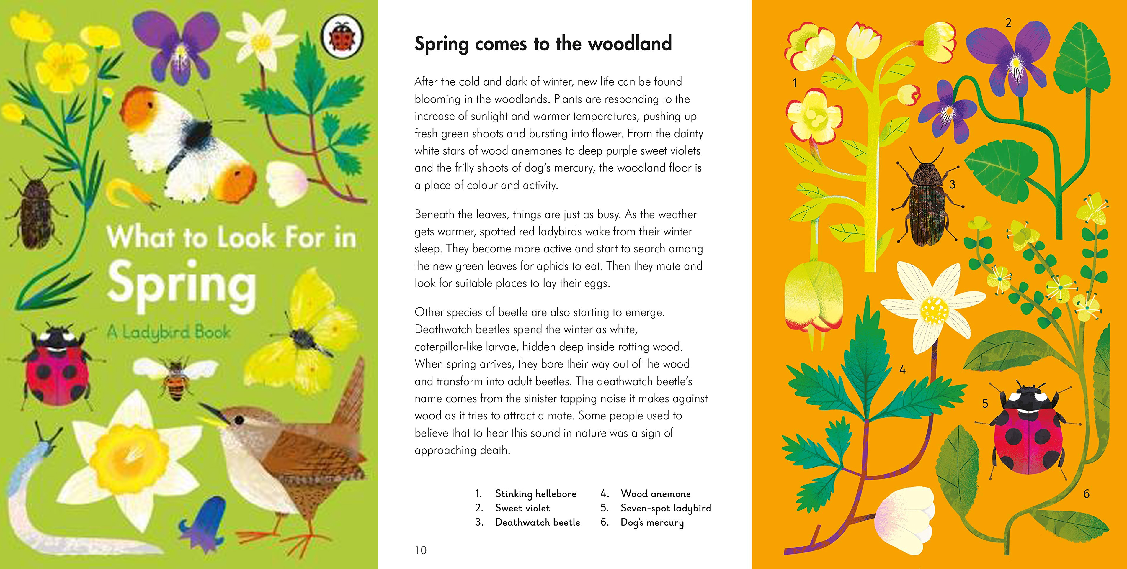 The Best Spring Books for Children in 2021